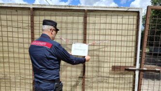 Sequestrato Allevamento Bufali