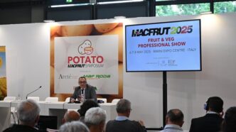 Sfide E Innovazioni Nella Pata