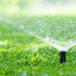 Sindaco Di Cerveteri Vieta Uso Dell’acqua Potabile Per Usi Non Essenziali Fino Al 30 Settembre 2025