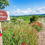 Spazio Dedicato Alla Via Francigena All’aeroporto Di Santiago Per Promuovere Il Turismo Lento Europeo Fino A Maggio 2025