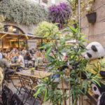 Städlin: Il Locale Tra Testaccio E Trastevere Che Rilancia Il Brunch Romano Con Piatti E Cocktail Originali