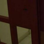 Suicidio Di Un Sovrintendente Alla Casa Di Reclusione Di Porto Azzurro, La Polizia Penitenziaria In Lutto