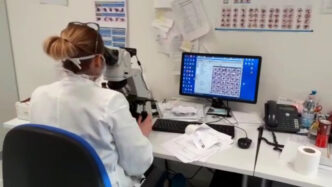 Terapia Genetica Con Crispr3A P