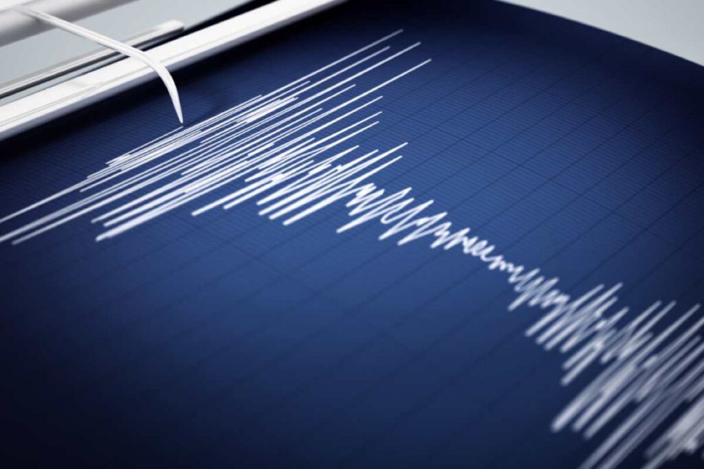 Terremoto grafico