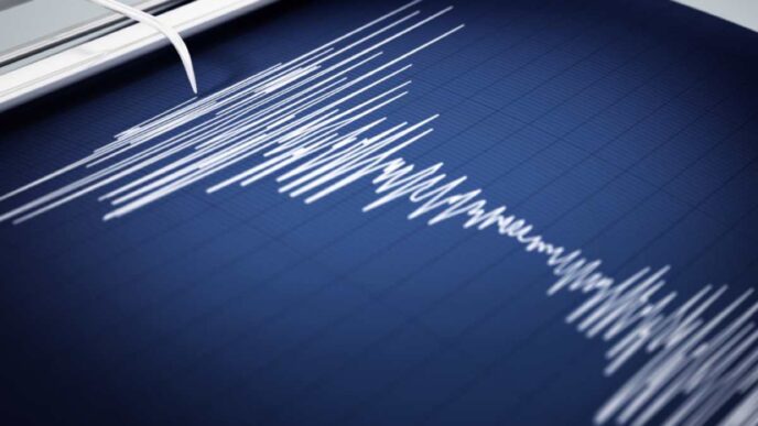 Terremoto Grafico