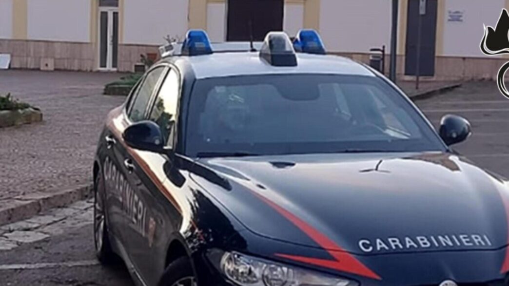 Testa Di Maiale Appesa Al Canc