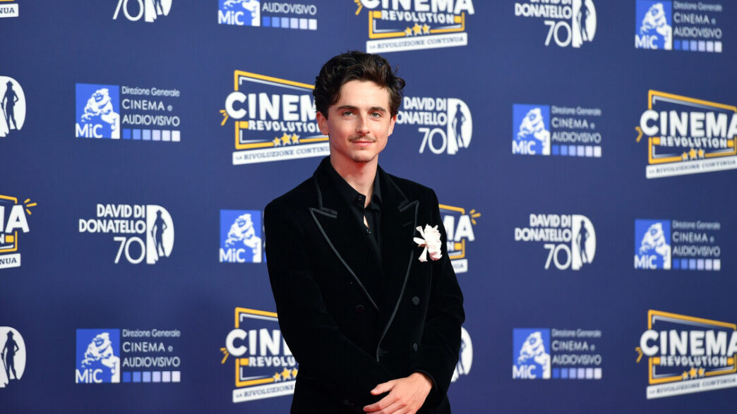 Timothc3A9E Chalamet Ai David Di