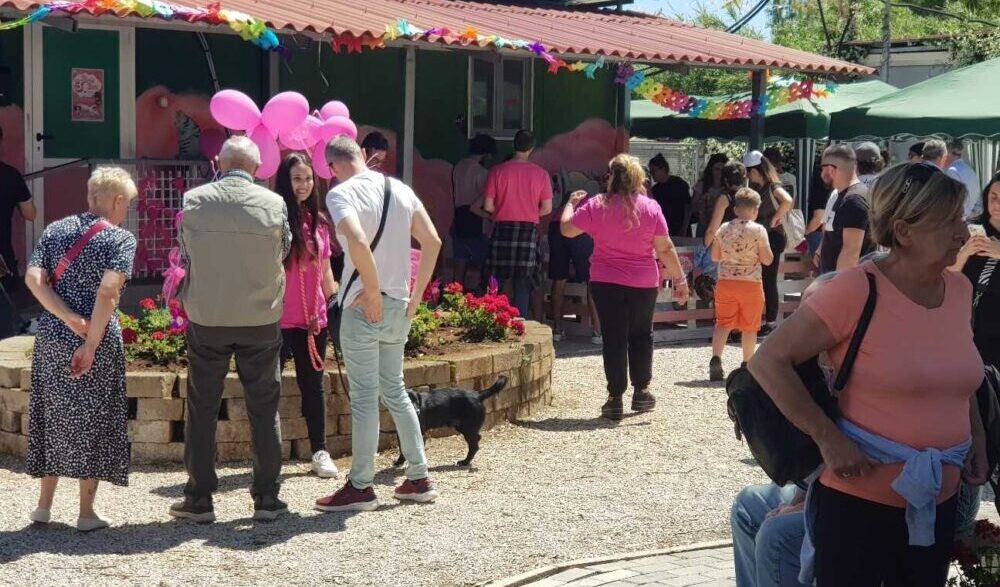 Torna Il V Open Day Al Canile