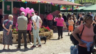 Torna Il V Open Day Al Canile
