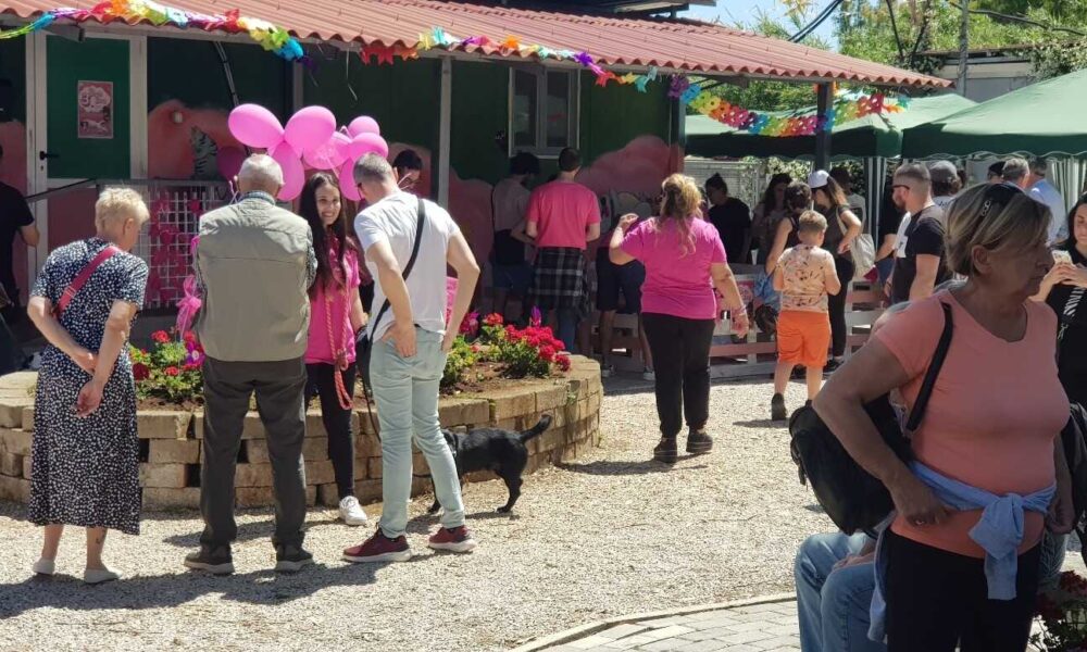 Torna Il V Open Day Al Canile