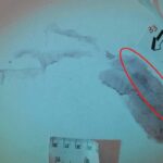 Traccia Numero 33 In Via Pascoli Torna Al Centro Dell’inchiesta Sull’omicidio Di Chiara Poggi A Garlasco