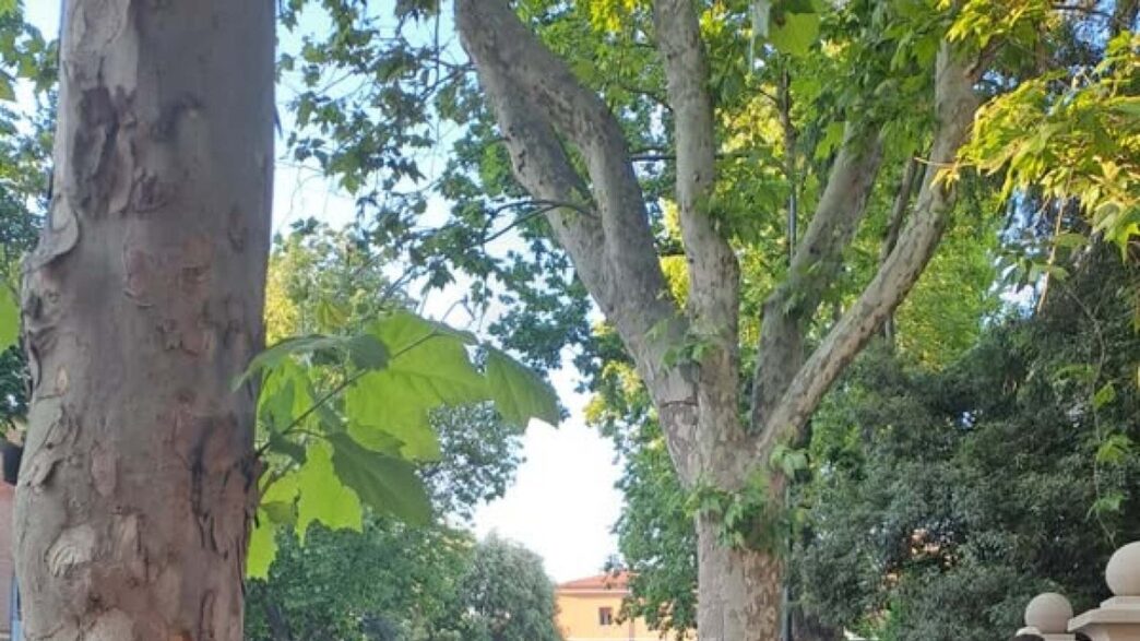 Treni Regionali Trenitalia Tpe