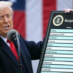 Tribunali Contro La Presidenza Trump: Oltre 250 Cause In Quattro Mesi Per Dazi E Immigrazione
