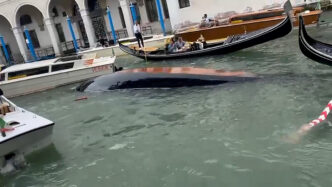 Turisti Si Spostano Per Un Sel