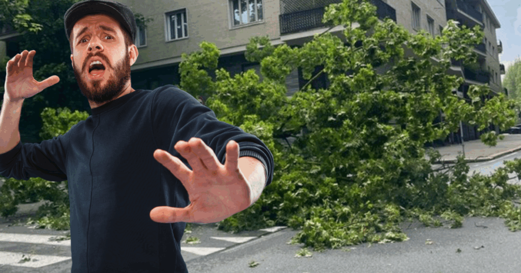 Un Albero Cade Su Corso Moncal