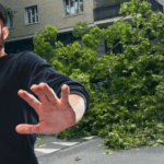 Un Albero Cade Su Corso Moncalieri A Torino E Blocca Il Traffico In Pieno Pomeriggio