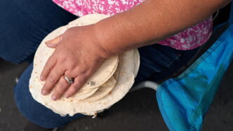 Una Tortilla Fermentata Che Du