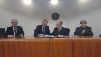 Universitc3A0 Mediterranea Di Reg