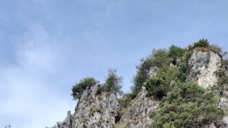 Uomo Di 54 Anni Muore Dopo Una