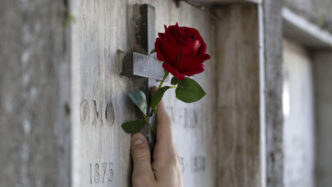 Visite Gratuite Al Cimitero Mo