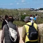 Volontari Raccolgono Rifiuti Lungo I Sentieri Del Parco Della Murgia Materana Durante Passeggiata Ecologica