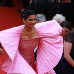 Al Festival Di Cannes 2025 Nuove Regole Sull’abbigliamento Per Gala E Red Carpet Cambiano Le Scelte Delle Star