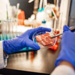 Consumo Di Carne In Italia: Opinioni E Prospettive Sulla Carne Coltivata E Alternative Proteiche