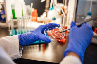 Consumo Di Carne In Italia3A Op
