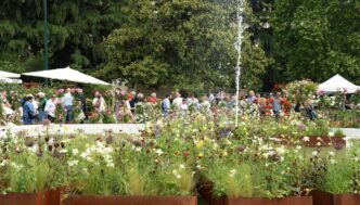 I Festival Di Primavera In Ita