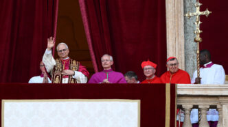 Il Fratello Di Robert Leone Xi