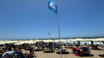 La Bandiera Blu Spinge Il Turi