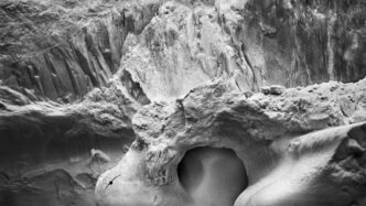 La Mostra Di Sebastic3A3O Salgado
