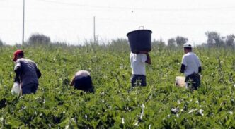 Lavoratore Irregolare Ferito A