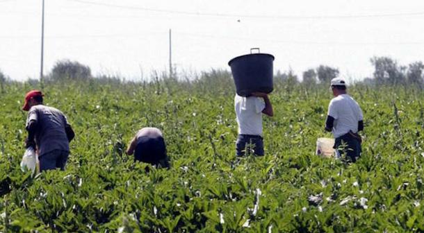 Lavoratore Irregolare Ferito A