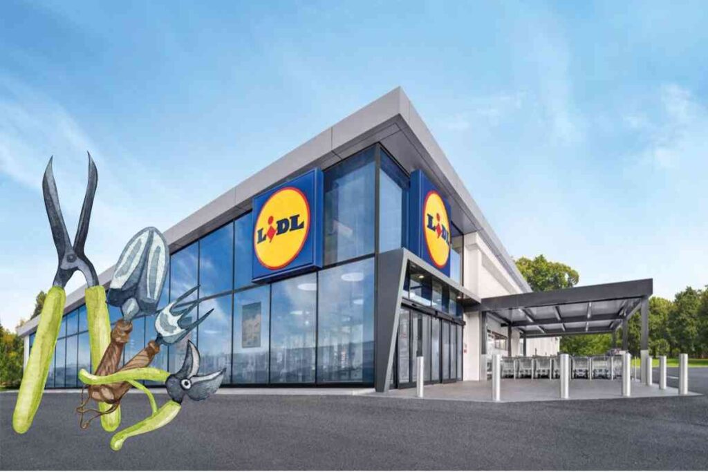 Giardino perfetto e senza ospiti indesiderati