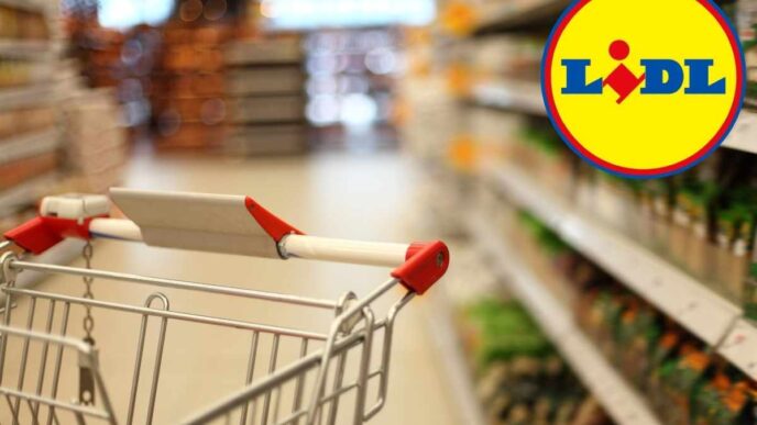 Il Meteo Non Ti Spaventa Più Con La Super Offerta Lidl