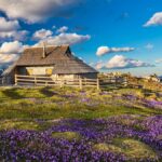 Scoprire La Slovenia Verde Tra Natura, Tradizioni E Sapori Locali Del 2025