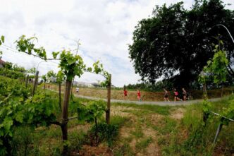 Tre Borghi Tra Frisa2C Badia Di