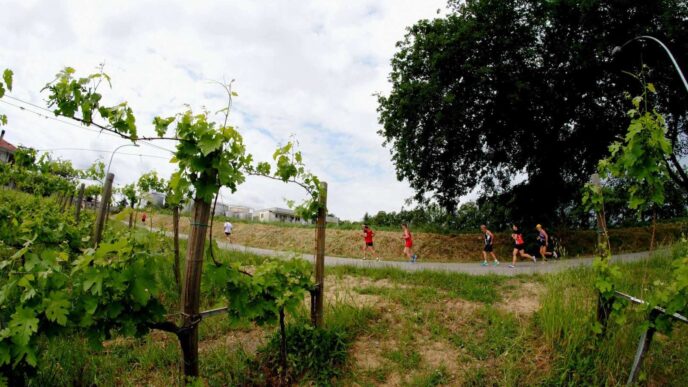 Tre Borghi Tra Frisa2C Badia Di