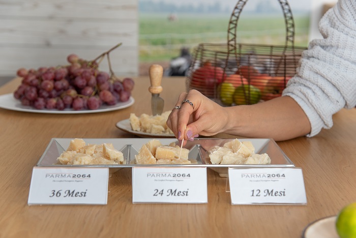 Una Domenica Tra Parmigiano Re