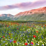15 Mete Montane Europee Per L’estate Tra Natura, Trekking E Tradizione Gastronomica