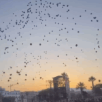 A Palermo Rilasciati Centinaia Di Palloncini Durante Un Concerto Di Una Radio Nazionale: Plastic Free Denuncia Il Danno Ambientale