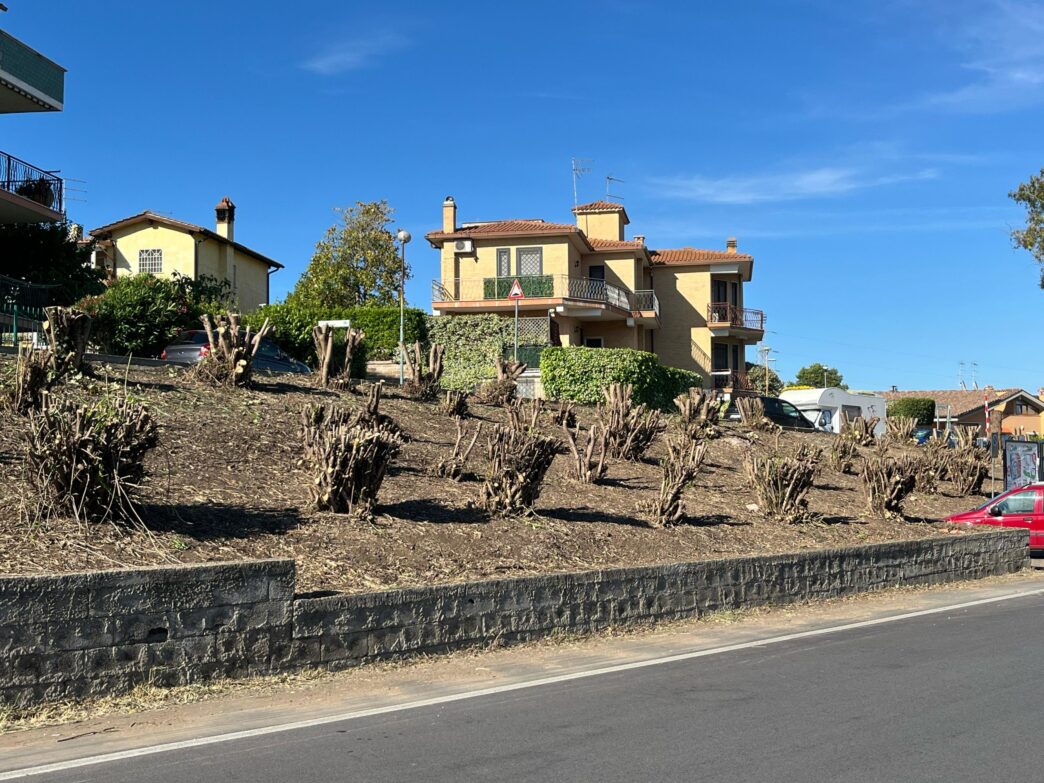 A Cerveteri Continuano Gli Sfa