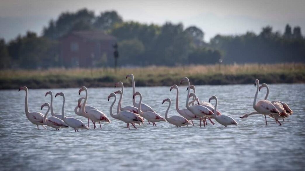 A Cervia Grazia Deledda E Gli