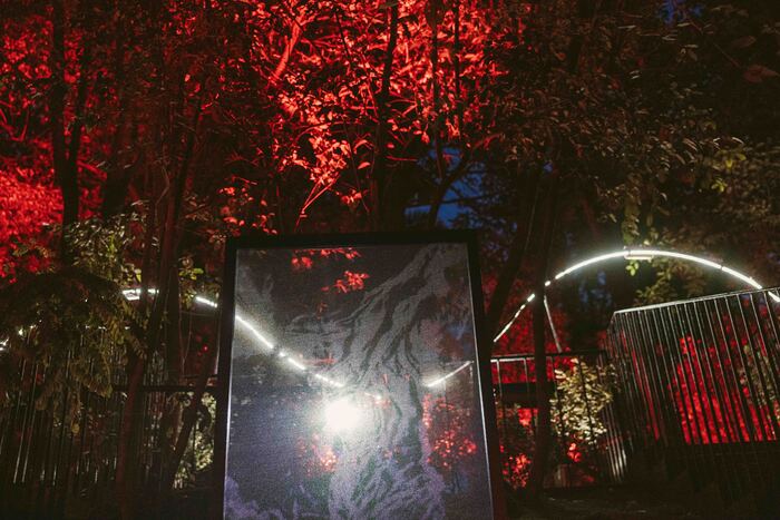 A Hotel Butterfly Torna Mudab