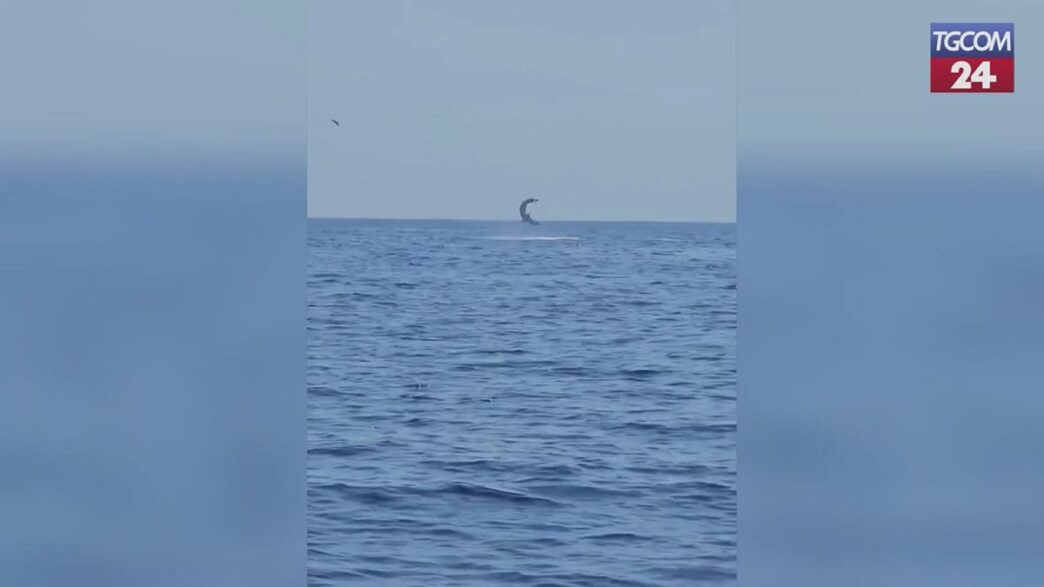 A Marzamemi La Pesca Di Tonni