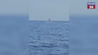 A Marzamemi La Pesca Di Tonni
