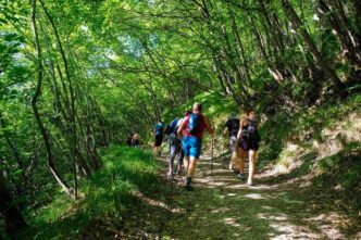 A Modigliana Torna Il Festival