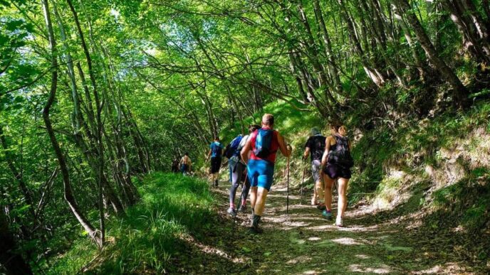 A Modigliana Torna Il Festival