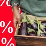 A Torino La Banda Delle Melanzane E La Nuova Faccia Dell’usura Con Tassi Fino Al 384% Annuo